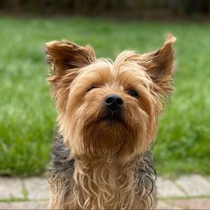 Meet your Posher, Emma